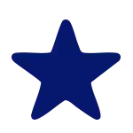 4.9 Stars on Google rating